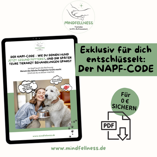 Der Napf-Code: Wie du deinen Liebling vor Krankheiten bewahrst 🐾 | PDF