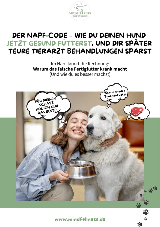 Der Napf-Code: Wie du deinen Liebling vor Krankheiten bewahrst 🐾 | PDF